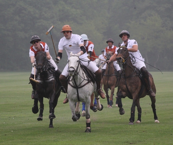 Polo_Art   091.jpg